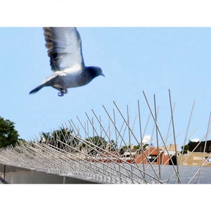 Chine 500mm * 23mm filet de sécurité anti oiseau pointe pigeon défense pointes anti oiseau en plastique pointes installation - Product Image 3