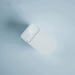 2025 Automatic Foot-Sensing Opening and Closing Flushing Smart Toilet <strong>Bidet</strong> Toilet Bathroom Toilet - Product Image 3