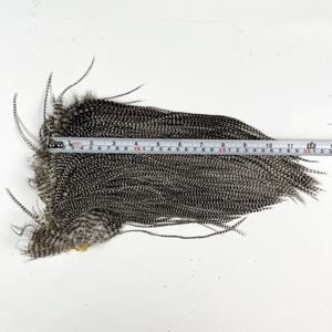Plumes de coq grizzly rayées naturelles, matériau de montage de mouches pour la pêche à la mouche sèche, nymphes et streamers - Product Image 2