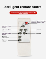 Lampe de Plafond Extérieure/Intérieure à LED de Haute Qualité, Luminaire de Plafond Solaire avec Télécommande