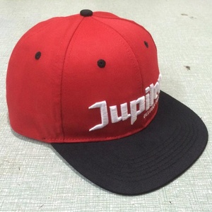 مخصص شعار شقة حافة قبعات سائق الشاحنة oem gorras - Product Image 4