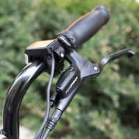 Vélo électrique rétro Ebike Fat Tire E bike 250w Vélo électrique USA UE