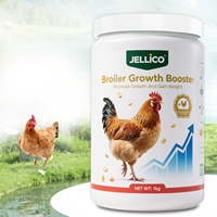 Booster de croissance des poulets de chair pour le gain de poids Additif pour l'alimentation des volailles Supplément de vitamines et d'acides aminés Aliment pour animaux d'engraissement