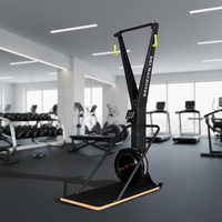 Machine d'entraînement de ski à résistance à l'air, équipement de cardio-training complet pour la résistance physique, idéal pour la salle de sport et la maison, fourni directement par l'usine
