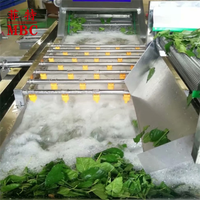 Hoge Kwaliteit 500 Kg/u Automatische Blad Groente Bubbel Wasmachine Fruit Wassen Drogen Verwerking Lijn Luchtstroom Fruit Ontwater Machine