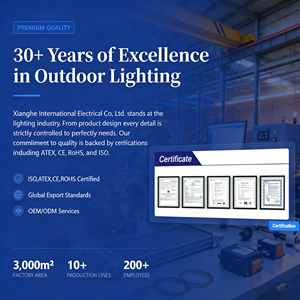 Lampe de camping LED portable d'urgence 100W 200W, étanche IP67, rechargeable par USB, lanterne de camping manuelle, projecteur <span class=keywords><strong>solaire</strong></span> - Product Image 6