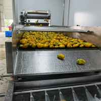 Mango Pulp Productielijn Mango Pulp Maken Mango Peeling Machine Verwerkingsfabriek Machines
