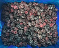 Goede kwaliteit IQF diepvries bramen, 100% versgevroren, natuurlijke smaak, het hele jaar door, populaire aanbieding