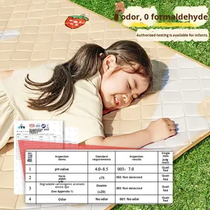 Alfombra de Picnic Ecológica, Impermeable, Gruesa, Suave, Plegable, Cojín Inflable para Asiento de Tienda de Campaña, para Descanso al Aire Libre - Product Image 3