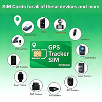 Tarjeta SIM Internacional IoT de Datos GPRS Global de 30 MB, Precio de Fábrica al por Mayor, Dispositivo de Rastreo GPS 2G 3G 4G, Plataforma de Seguimiento