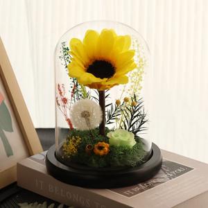 Girasol Preservado Hecho a Mano, <span class=keywords><strong>Serie</strong></span> Eterna de Lujo, Duradero de 3 a 5 Años, Cúpula de Hierba Eterna, Regalo para el Día de San Valentín - Product Image 3