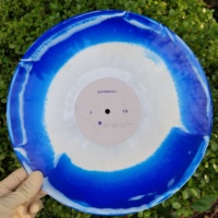 Solution de disque vinyle tout-en-un Gold Factory Premium Disk Replication Disc Printing Pressing