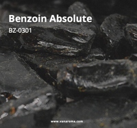 Extrait pur d'absolue de benjoin, huile essentielle, ingrédient pour les parfums fins et les cosmétiques (BZ-0301) Van Aroma