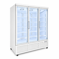 Congélateur vertical commercial à 1/2/3 portes vitrées, vitrine de congélation à basse température pour aliments surgelés, congélateur profond pour supermarché