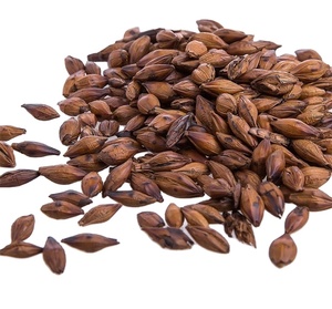 Té <span class=keywords><strong>de</strong></span> grano <span class=keywords><strong>de</strong></span> <span class=keywords><strong>cebada</strong></span> tostado Té <span class=keywords><strong>de</strong></span> <span class=keywords><strong>malta</strong></span> <span class=keywords><strong>de</strong></span> <span class=keywords><strong>cebada</strong></span> salteado Bebida <span class=keywords><strong>de</strong></span> grano saludable Té <span class=keywords><strong>de</strong></span> <span class=keywords><strong>cebada</strong></span> - Product Image 2