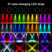 19x15W RGBW 4-in-1 Zoom Wash LED Moving Head Light Bee Eye Nachtlampe Bühnenlicht LED für DJ Bar Hochzeit Bühne