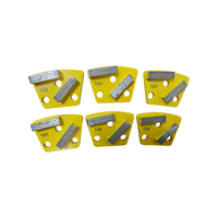 Plaque de meulage diamantée Plaque de meulage à 2 segments pour meuleuses de sol ASL Segments de meulage pour béton Outils diamantés