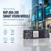 Kit de 40 cartes IA pour IA générative Stable Diffusion Llama2 TensorFlow PyTorch ONNX Edge Computing OEM Accélérateur IA M.2