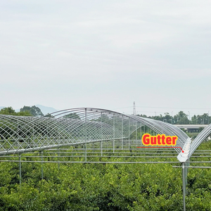 Serre en film plastique pour <span class=keywords><strong>abri</strong></span> contre la pluie, idéale pour les poivrons - Product Image 2