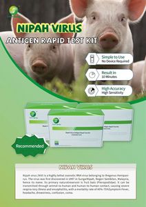 <span class=keywords><strong>Kit</strong></span> de <span class=keywords><strong>test</strong></span> rapide d'antigène du virus Nipah (NIV) Green Spring haute précision, vente directe d'usine pour la détection humaine et animale - Product Image 4