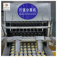 Ligne de transformation de liquide d'œuf clé en main avec système de nettoyage CIP et équipement de production d'œufs pasteurisés pour boulangerie