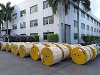 Cable de fibra óptica para exteriores, Cable aéreo de fibra óptica OPGW, 24, 48 y 96 núcleos personalizado