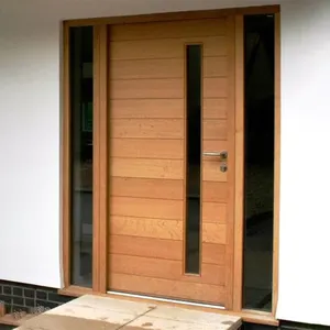별장 금속 외부 문 단단한 나무 알루미늄 집 입장 선회축 문을 위한 현대 스테인리스 정면 입장 선회축 문