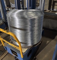 Fil de fer galvanisé 0,2 mm-20 mm, bobine de fil de fer électrogalvanisé pour la construction, les clôtures et le paillage