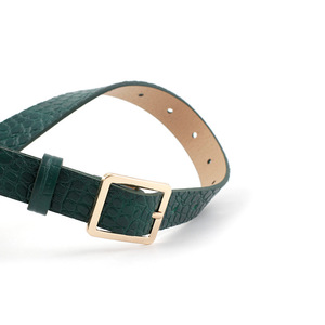 Nuevo Cinturón con Patrón de Cocodrilo para Mujer, Cinturón de Cuero con Hebilla Cuadrada a la Moda para Vestido, Pantalón Vaquero - Product Image 4