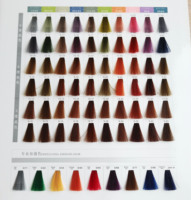 Crème colorante permanente pour cheveux à faible teneur en ammoniaque - Multi-couleurs (brun, rouge, noir, vert, jaune, bleu) pour cheveux normaux par une autre marque