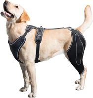 Genouillère pour chien pour support ACL déchiré avec attelle en métal Attelle de jambe pour chien avec support à charnière en métal pour un meilleur soutien et une meilleure récupération