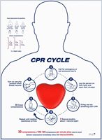 CPR Eğitim Manevrası Yetişkin Göğüs Sıkıştırma Pratik Cihazı ve Talimatlı İlk Yardım Eğitimi Toptan Açık Hava Hayatta Kalma Seti