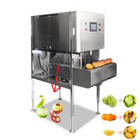 Volledig Automatische Watermeloen Grote Taro Papaya Kohlrabi Rode Biet Citroen Schilmes Elektrische Fruit- en Groenteschilmachine