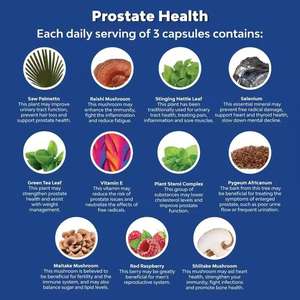 विटामिन ई पौधे के स्टेरॉयड के साथ ओम/ओडम प्रोस्टेट कैप्सूल, पुरुषों के लिए पायजीयम एअफ्रीकानम अर्क - Product Image 2
