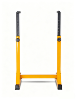 Station de dips pour la maison, équipement de fitness d'intérieur, barre de traction et de dips, tour d'entraînement à barres parallèles individuelles pour l'intérieur