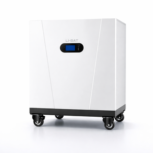 Système solaire hybride mural de stockage d'énergie domestique avec batterie LiFePO4 51,2 V 100 Ah 5 kWh et Power Wall - Product Image 1
