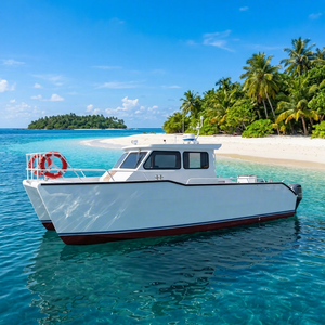 Catamarano in Alluminio da 10m per Pesca Sportiva, Capacità 12 Persone, Doppio Motore, per Crociere Marine e Pesca - Product Image 4