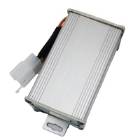 Nouveau Meilleur Convertisseur DC-DC Élévateur de Tension 60-72V/12V vers 12V/24V pour Vélo Électrique 20A Modèle Aluminium Argent 100-48V Facile à Utiliser