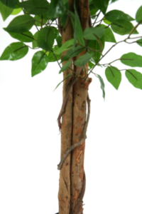 Fabrika Çıkışı Ucuz 120CM 4FT Yapay Yeşil Bitki <span class=keywords><strong>Bonsai</strong></span> İpek Yapraklı Saksılı İç Mekan Doğal Görünümlü Yapay <span class=keywords><strong>Ficus</strong></span> Ağacı İç Dekorasyon İçin - Product Image 5