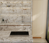 Armoire de cuisine moderne en marbre de George Group avec éclairage LED, évier en bois grainé personnalisé, robinet et charnières - pour les hôpitaux