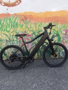 Bicicleta Eléctrica Wanderer Eel con Batería en el Tubo Inferior, Alcance de 40 km, 350w, Disco de Litio, 7 Velocidades, para Desplazamientos Diarios y Paseos de Ocio - Product Image 3