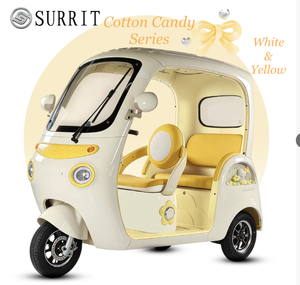 SURRIT Independence 750W 48V, housse de pluie, capacité de 550 LBS, tricycle électrique confortable pour les sorties de loisirs et les pique-niques - Product Image 1
