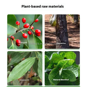 Ungüento de tigre bálsamo rojo/blanco original bálsamo de León chino a base de hierbas para aliviar el dolor muscular - Product Image 6