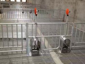 Bebedero Automático de Acero Inoxidable para Cerdos con Diseño Duradero para Uso en Granjas Avícolas - Product Image 4