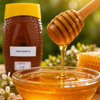 Pot en plastique texturé de 500g de miel naturel avec bouchon jaune, miel pur doré pour le thé, le petit-déjeuner, la pâtisserie et la restauration