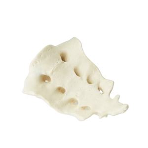 Modelo de Columna Vertebral Miniatura para Enseñanza Médica, Columna Vertebral de Tamaño Real Desarticulada, Modelo Realista de Esqueletos Humanos de Plástico - Product Image 1