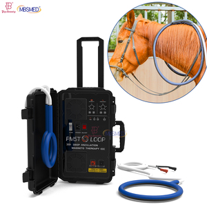 Soins <span class=keywords><strong>de</strong></span> santé professionnels vétérinaire tapis Pemf équipement d'hôpital pour animaux <span class=keywords><strong>de</strong></span> compagnie clinique vétérinaire magnétoterapia équipements <span class=keywords><strong>de</strong></span> <span class=keywords><strong>magnétothérapie</strong></span> - Product Image 1