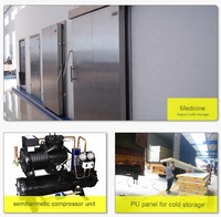 Conteneur de stockage frigorifique à marche-pied avec compresseur et moteur 220V/380V Dimensions 13x10x3m pour légumes et fruits