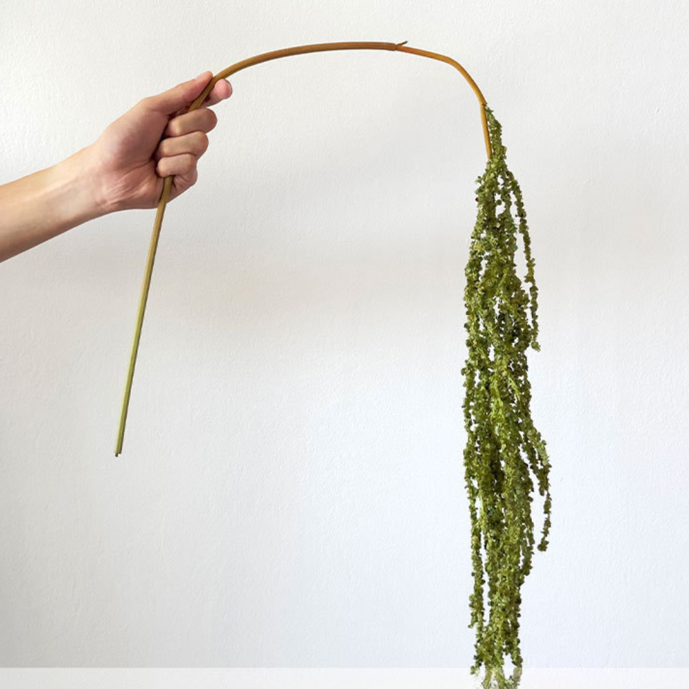 [6] Vert, toucher agréable, eucalyptus