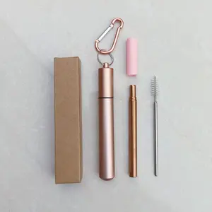 Eco friendly extendable stainless steel telescopic straw collapsible drinking straw with silicone tip and keychain